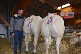 90 bovins pour la huitième édition de la journée de l’élevage à Charolles