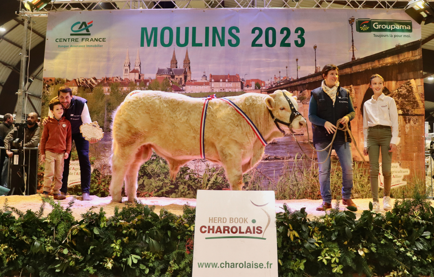 La Saône-et-Loire rafle 4 supers à la finale des concours charolais à Moulins  !