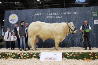 Unprince et Scorpion sur le podium du Salon de l'agriculture !