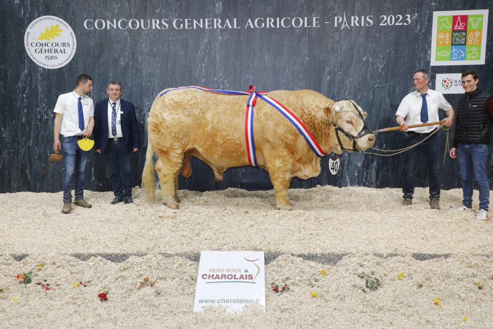 Concours Général Charolais : la Saône-et-Loire jamais bien loin du podium !