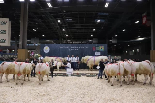 Salon de l’agriculture : de la bonne viande charolaise au menu de Pâques
