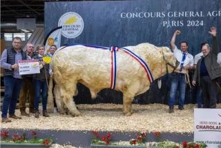 Le taureau Redoutable décroche le Grand Chelem à Paris !