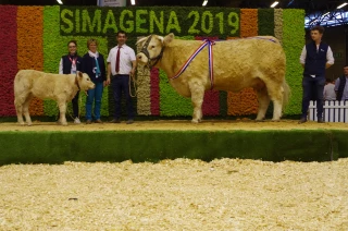 SIMAGENA : un Open Show qui fait recette !