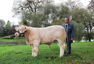 41e édition du concours de reproducteurs d’Etang-sur-Arroux samedi 27 septembre