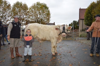 Près de 100 bovins à la finale des petits concours !