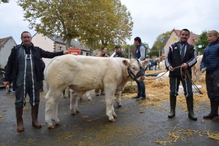 Une finale sous le signe de la jeunesse au concours d’Issy-l’Evêque  !