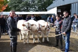 concours de reproducteurs charolais de Saint-Pierre-de-Varennes, prix d'ensemble