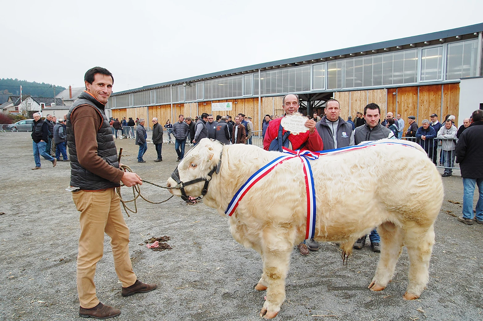 Concours de Luzy (58) : 340 reproducteurs engagés et des ventes