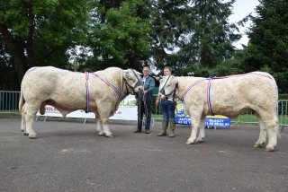 Un plateau de très haut niveau au concours charolais d'Autun !