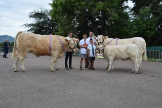 Les prémices d'un renouveau au concours charolais d'Autun...