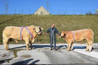 La modernisation est en marche !