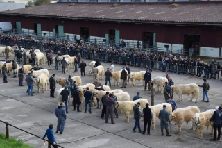 L'annulation tombe mal…