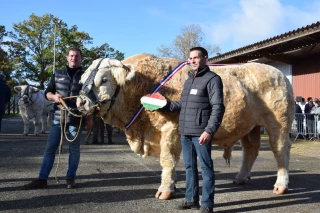 L’embellie se confirme au concours de Charolles