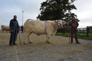 C'était l'affluence des grands jours au concours de Charolles !
