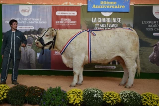 Pour ses vingt ans, le concours de Gueugnon atteint l’âge de la maturité