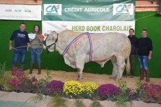 Le retour dignement célébré