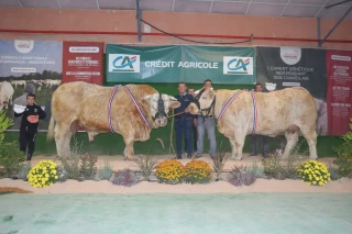 Le concours de Gueugnon a vingt-cinq ans !