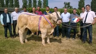 Concours national veaux  : trois premiers prix d’honneur dans la poche !