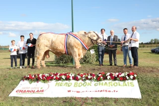 Les éleveurs contents de se retrouver au concours national charolais !