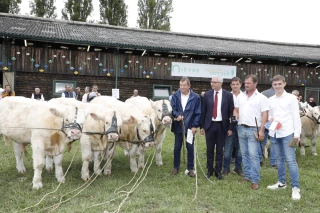 Beau début de saison au concours national charolais !