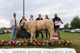 Des Saône-et-loiriens toujours au top lors du concours national veaux à Magny-Cours !