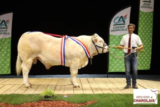 Sommet de l’élevage : nouveau trophée qualités bouchères !