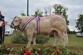 Promesses tenues au Concours national charolais !
