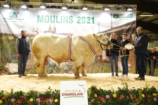 Quatre super prix d’honneur pour la Saône-et-Loire !