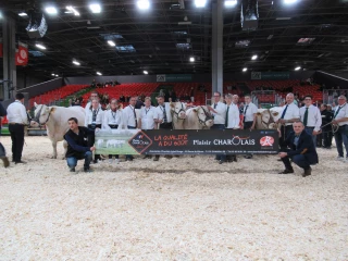 Charolais Label Rouge représentera le meilleur de la viande charolaise à Paris