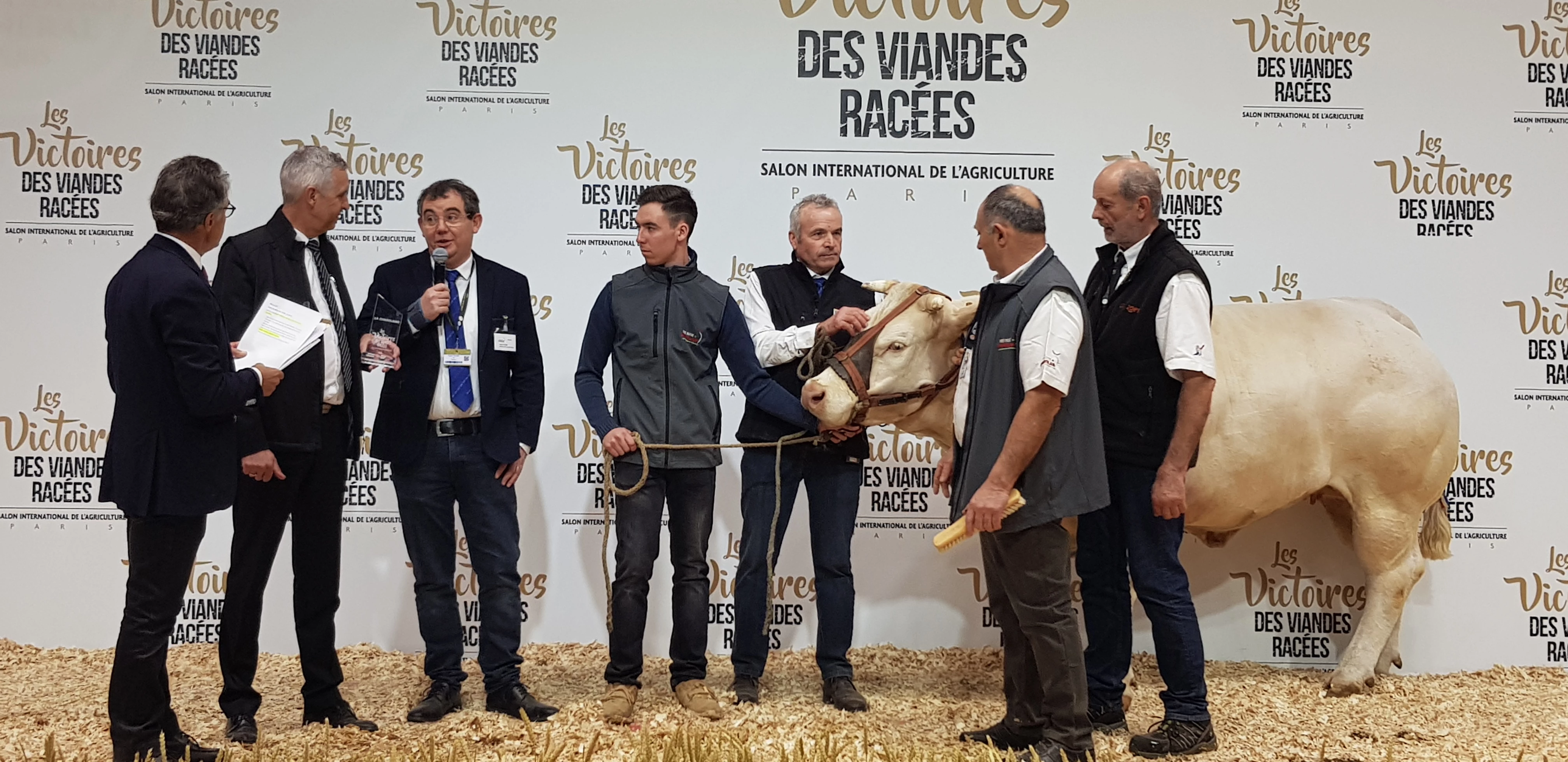 Les qualités bouchères du berceau ont  brillé au dernier salon de l'agriculture