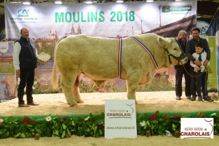 Impoli et Ouistiti sur le podium de la super finale de Moulins !