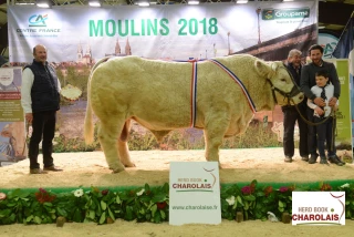 Impoli et Ouistiti sur le podium de la super finale de Moulins !