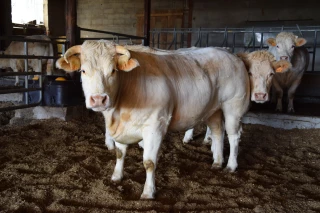 Un répit qui fait du bien au moral !