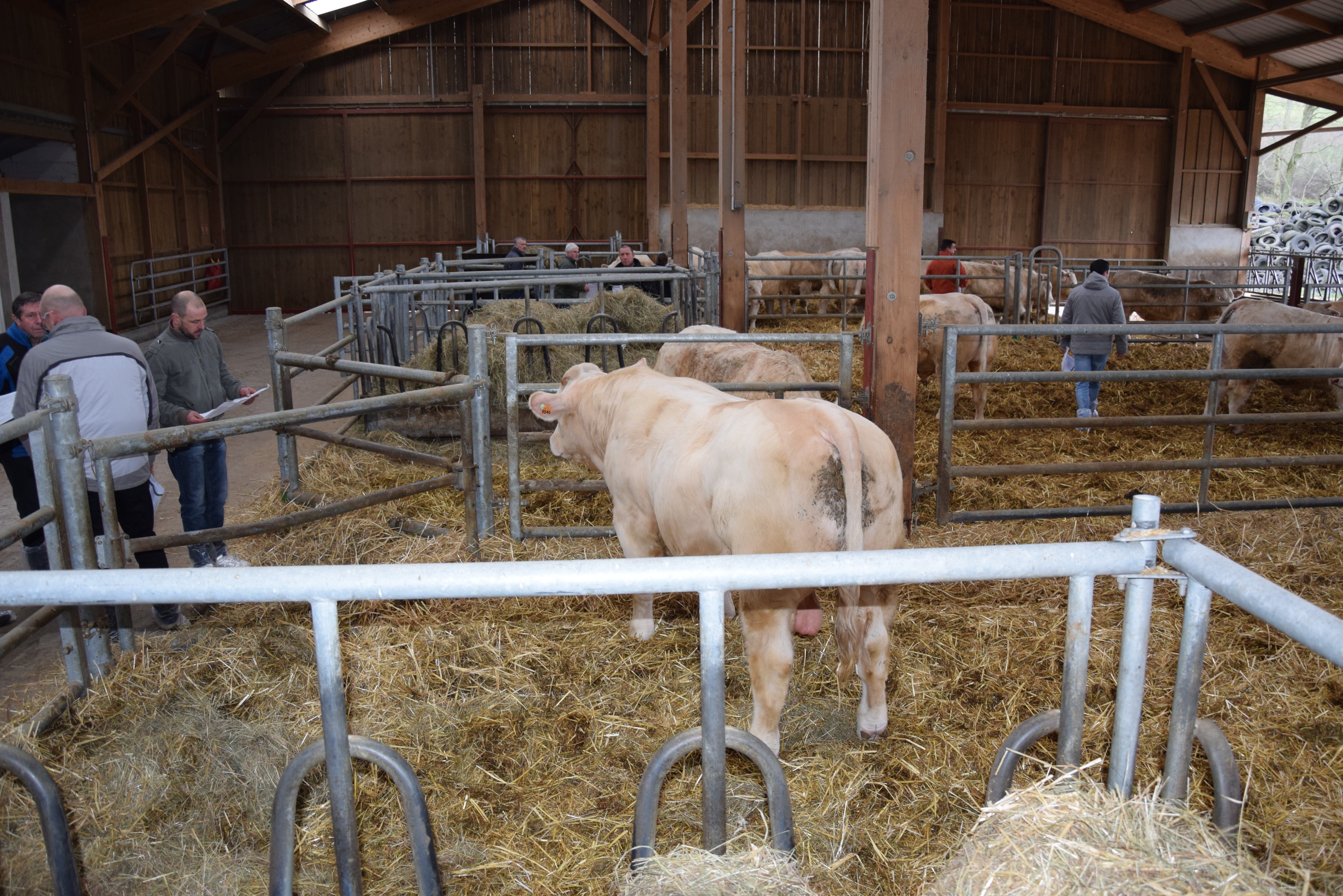 Le GIE Synergie Charolais Station de Jalogny est en route pour le dixième anniversaire !