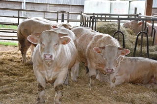 Conditions exceptionnelles pour la prochaine vente 