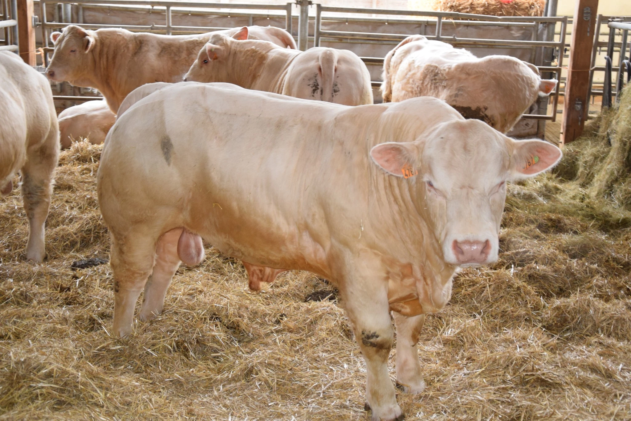 Que recherchent les clients de la station de Jalogny ?