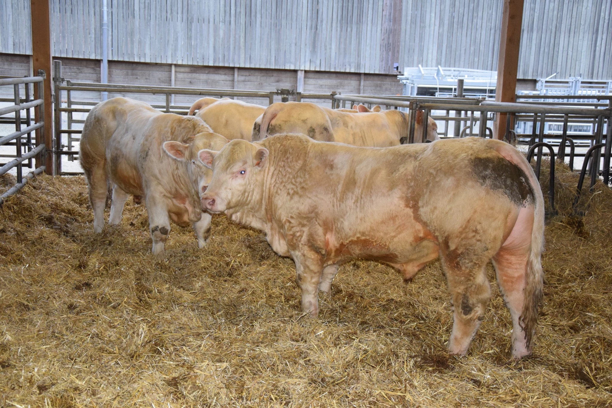 GMQ 1.581 grammes par jour