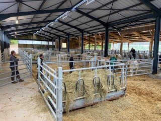 GIE Synergie Charolais Station de Jalogny : 92 veaux dans la course !