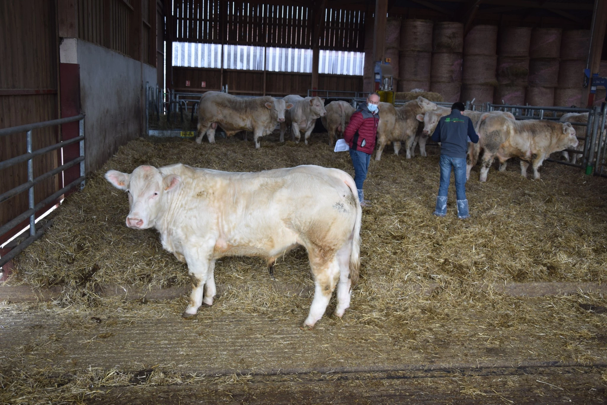 Portes ouvertes sur rendez-vous du 6 au 10 février
