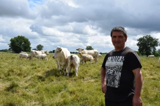 A Vitry-en-Charollais, Joël Bouillot a connu un épisode de BVD dans son cheptel