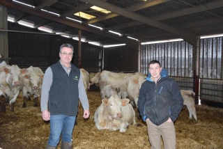 Un lien précieux pour la reproduction des vaches allaitantes