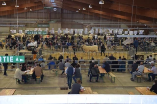 Du sang neuf pour la 56e édition