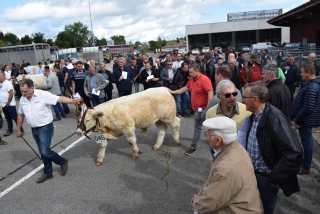 Des enchères qui ont fait des heureux !