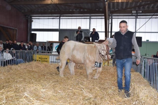 vente aux enchères de Charolles 2025 Hervé Perraud 