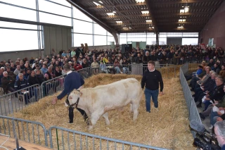 vente aux enchères de Charolles 2025 vue panoramique
