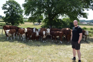 Se démarquer grâce à la hereford