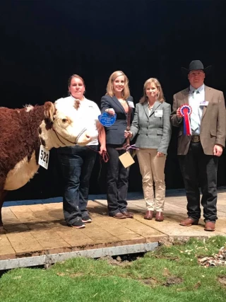 Une Saône-et-Loirienne, première du concours Hereford à Cournon
