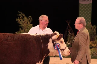 Retour sur le concours national Hereford de Cournon