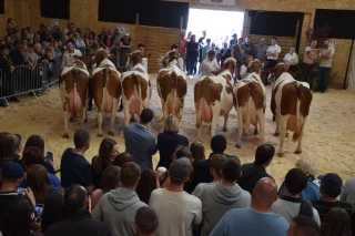 Quatrième édition de la Fête du Lait en Bresse à Louhans le 8 mai !