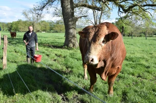 Assemblée de section du Herd-Book Limousin chez les pionniers de la limousine en Saône-et-Loire